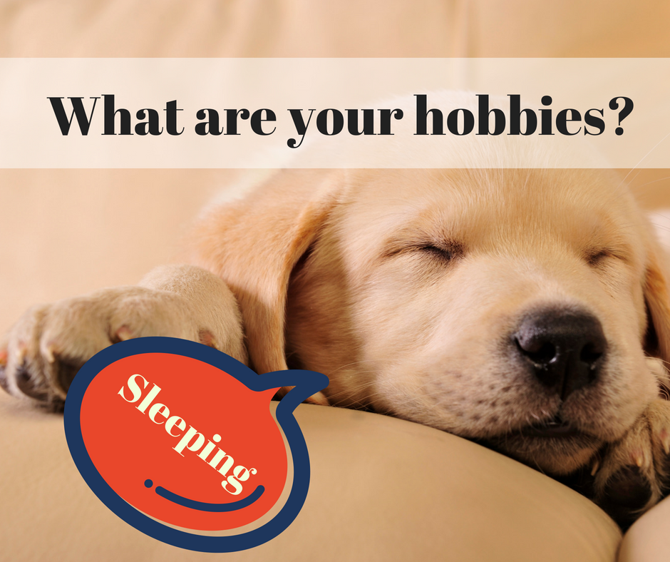 What are your hobbies? 別再回答睡覺了！